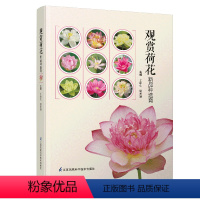 [正版]观赏荷花新品种选育 江苏凤凰科学技术出版社 丁跃生 姚东瑞 9787571327873