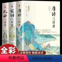 [正版]全3册 唐诗宋词元曲三百首全集全解详注鉴赏辞典中国古诗词大全原著完整版初中生儿童选读详析精选成人版诗词格律中华