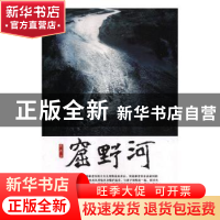 正版 窟野河 亚东著 太白文艺出版社 9787551314923 书籍