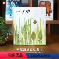 单本全册 [正版]信谊图书一寸虫绘本凯迪克奖精装硬壳儿童绘本亲子阅读幼儿故事书生存智慧启蒙认知绘本童书早教书宝宝0-3-