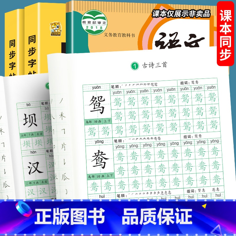 同步字帖+同步作文 小学三年级 [正版]三年级同步练字帖上册下册硬笔书法练字本每日一练人教版语文生字写字本三年级字帖小学