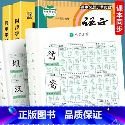 同步字帖+同步作文 小学三年级 [正版]三年级同步练字帖上册下册硬笔书法练字本每日一练人教版语文生字写字本三年级字帖小学