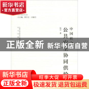 正版 中国社会公共安全协同供给 钱洁著 中国人民公安大学出版社