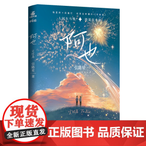 阿也2完结篇