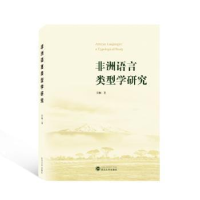 诺森非洲语言类型学研究吴桐著9787307034武汉大学出版社