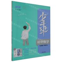 [N]初中数学(9下RJ)/少年班-9787513162494
