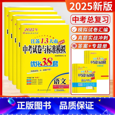 [2025]语数英物化 套装5本(含24年中考真题) [正版]2025新版恩波38套江苏省中考13十三大市中考试卷与标准