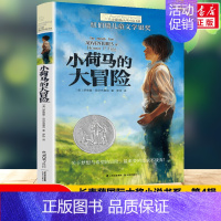 [长青藤国际大奖]小荷马的大冒险 [正版]禹田长青藤国际大奖小说寻找阿加莎小学生四五六年级课外书必读老师阅读外国经典儿童