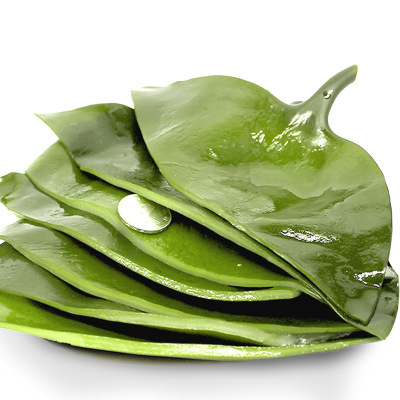 五斤厚根-出口级荣成盐渍海带厚海带头海带根新鲜昆布非干货均色均码