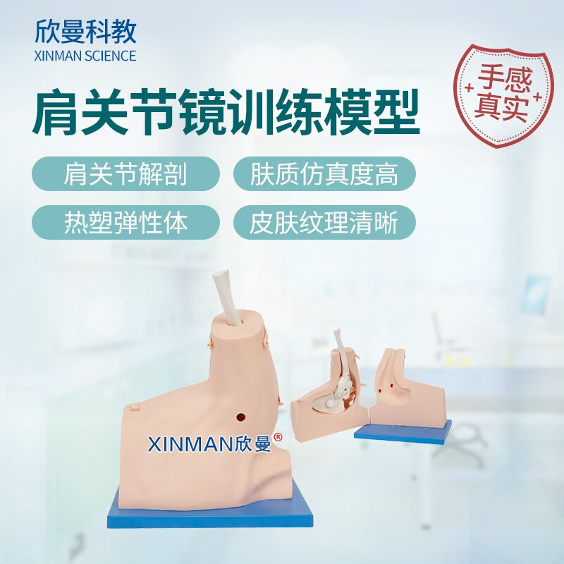 欣曼科教 肩关节镜检查操作训练模型 肩关节模型XM-JL108