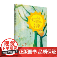 正版 “万物有灵且美”的自然儿童诗 太阳知道草的名字 何腾江 著 济南出版社