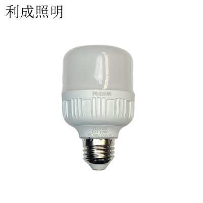 利成照明 LED灯泡 E27 10W 个