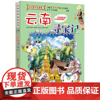 正版童书 大中华寻宝系列13 云南寻宝记