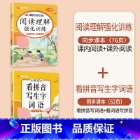 [拼音强化]阅读理解+看拼音写生字词语 五年级下 [正版]阅读理解专项训练书小学五年级下册上册语文英语每日一练人教版5下