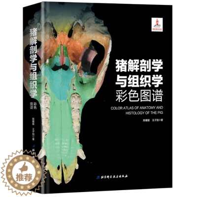 [醉染正版]猪解剖学与组织学彩色图谱 陈耀星 王子旭 动物医学书 兽医书籍 兽医解剖书籍猪解剖学猪组织学图鉴 97875