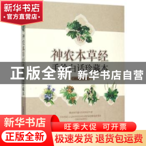 正版 神农本草经手绘白话珍藏本 王良信编译 中国医药科技出版社