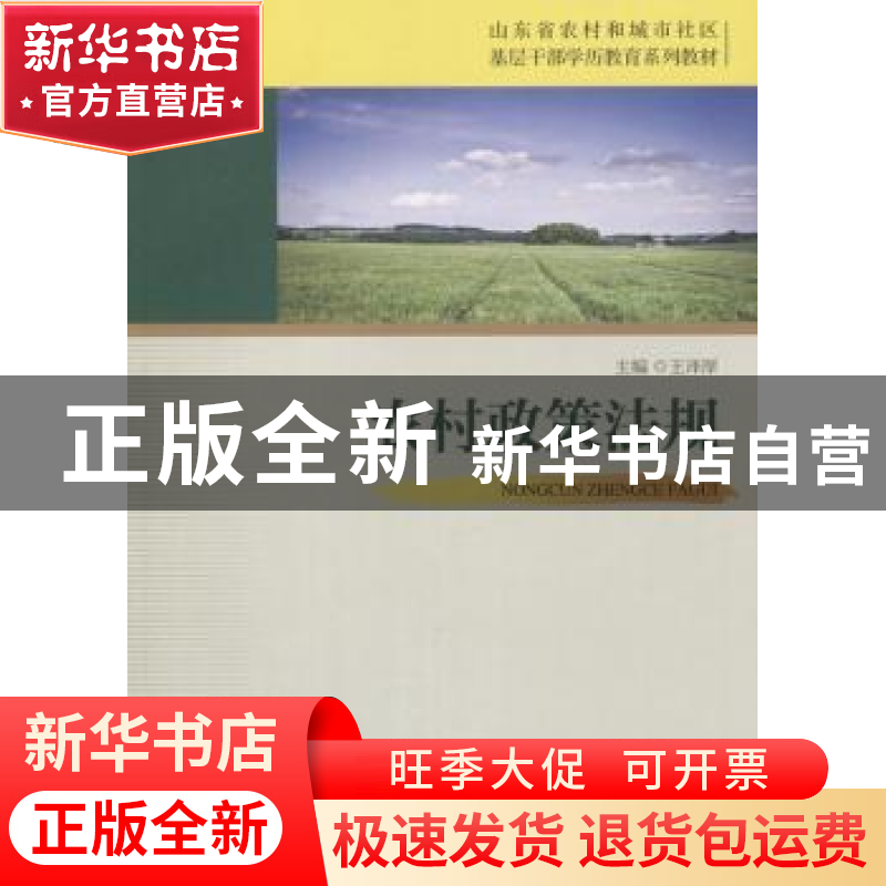 正版 农村政策法规 王泽厚 山东人民出版社 9787209095044 书籍