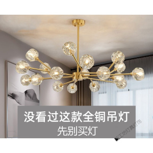 苏宁放心购 北欧全铜水晶吊灯2020新款网红轻奢灯具简约现代客厅灯卧室餐厅灯