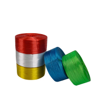 菲尔阿扎 PHIL ARZA 塑料绳5斤/卷