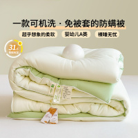 A类大豆纤维被子被芯四季通用学生宿舍春秋被保暖冬被单双人棉被
