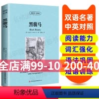 [正版]黑骏马 英汉双语读物英语书籍 名著双语版英语名著阅读课外读物小学初中高英语读物中英双语读物 读名著 学英语