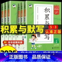 [4本]积累与默写+阅读理解+练字帖+同步作文 五年级下 [正版]2025新版53小学基础题语文积累与默写一二三年级四五