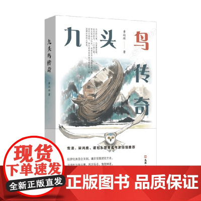 九头鸟传奇 黄向辉 著 小说
