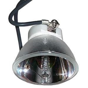 成越全新东芝TOSHIBA TLP-XD15投影机灯泡投影仪灯泡