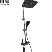 国隽 花洒组合 GJSMD180 套