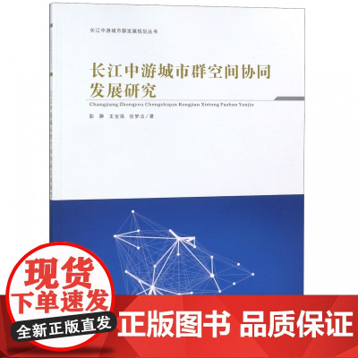 长江中游城市群空间协同发展研究/长江中游城市群发展规划丛