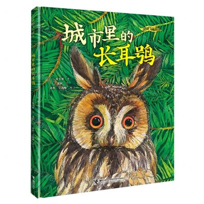 [N]城市里的长耳鸮(精)/我的飞鸟朋友-9787544878593