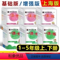 9年级 语数英物化(普通版+增强版) 小学升初中 [正版]2024华东师大版一课一练 一二三四五年级上下册12345年