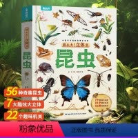 那么大!立体书 昆虫 [正版]海洋世界3D立体书自然科普 幼儿探索海洋会动的百科全书翻翻书绘本 3-6-8岁以上儿童趣味