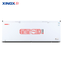 星星(XINGX)BD/BC-1088GD厨房商用保鲜设备卧式冷柜单温冷藏冷冻转换家用大容量-35℃深冷速冻超市雪糕柜