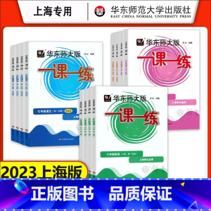 [3册]语数英 增强版 七年级上 [正版]2023华东师大版一课一练沪教版六七八年级上册下册语文数学英语物理化学普通版增
