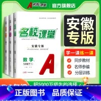 语文 九年级下 [正版]安徽专版2025/24语文数学英语物理化学道德与法治历史七八九年级下册初一二三教辅资料随堂同步练