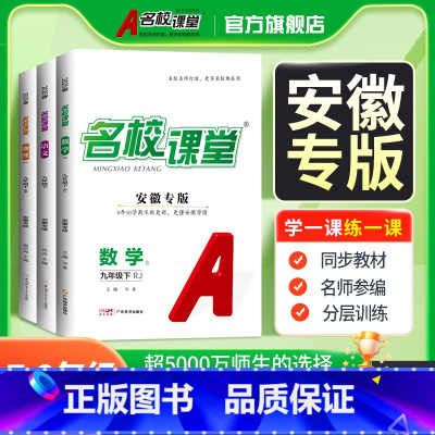 语文 九年级下 [正版]安徽专版2025/24语文数学英语物理化学道德与法治历史七八九年级下册初一二三教辅资料随堂同步练