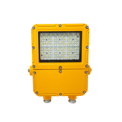 日昇之光(RECEN)RFBL162-G-50W LED防爆投(泛)光灯