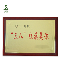 少昂 木托牌 SA-MTP-3550款 块