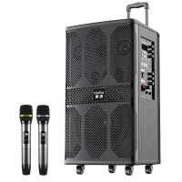 惠度(HuiDu)WDA-1200专业十二寸户外多喇叭拉杆音响带电池话筒(销售单位:台)