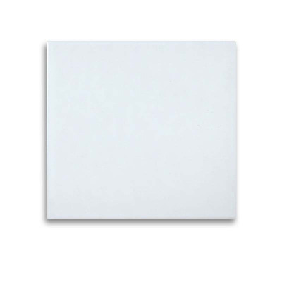 先围 防腐耐酸瓷砖 200*200*20mm釉面 片