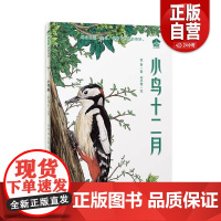 [正版]小鸟十二月(魔法象·故事森林·小书房) [6-9岁] 正版书籍