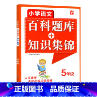 五年级 小学通用 [正版]小学语文百科题库知识集锦大全手册同步训练练习册题二三四五六年级上册下册全一册全国通用小学生专项