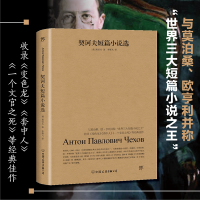 音像契诃夫短篇小说选(俄罗斯)契诃夫|译者:李辉凡