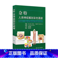 [正版]奈特人体神经解剖彩色图谱