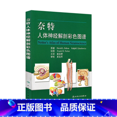 [正版]奈特人体神经解剖彩色图谱