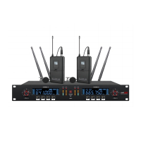 戴阳 一拖二领夹无线麦克PT-9100U-L(拍前需联系客服)