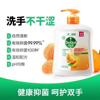 滴露自然清新型健康抑菌洗手液500g(1)瓶