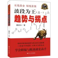 正版新书]波段为王魏源水 著 著作9787220100192
