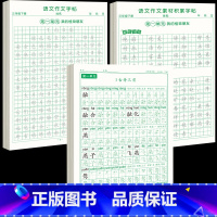 [下册]同步字帖3年级+同步作文字帖+素材积累字帖 [正版]三年级上册同步练字帖语文人教版小学生钢笔硬笔书法练字本楷书笔